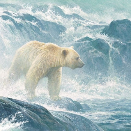 Pândirea somonilor - Puzzle XXL